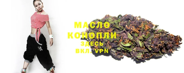 мдпв Каменногорск