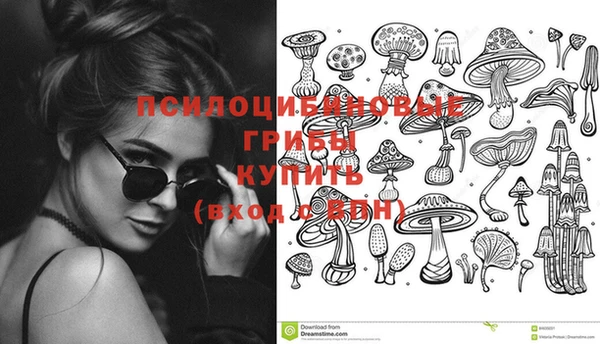 мдпв Каменногорск