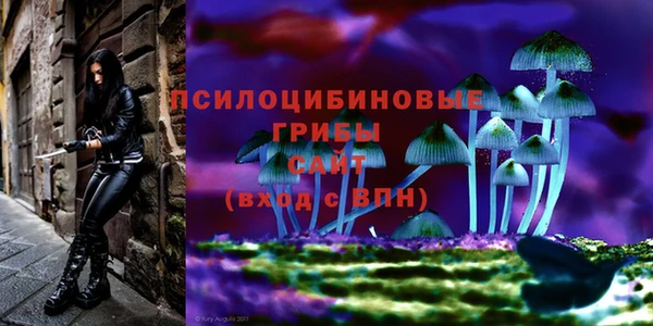 скорость Карпинск