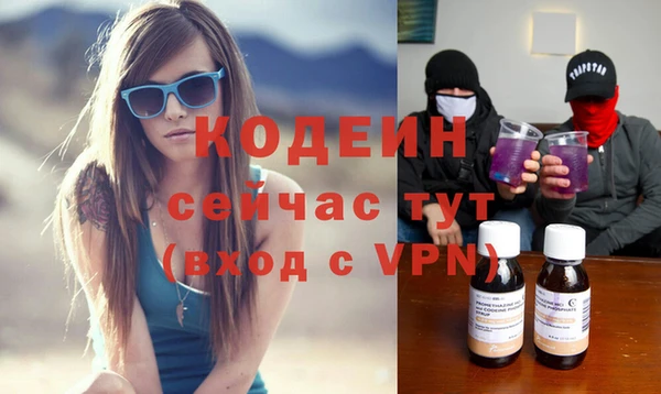 мдпв Каменногорск