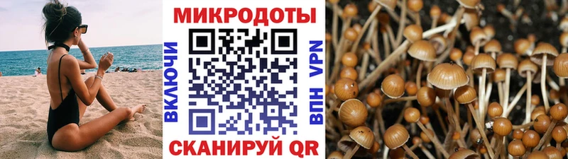 Псилоцибиновые грибы Psilocybe  Купить закладки  Берёзовский 